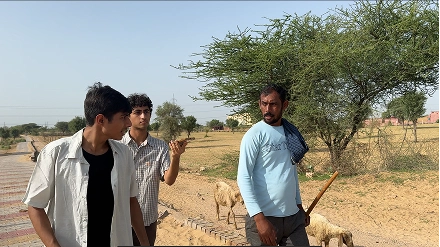 Interviewing shepherds in the desert
