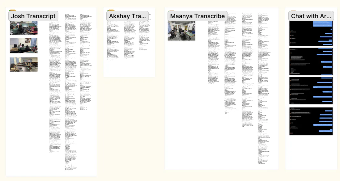 Interview transcripts